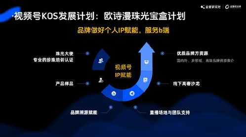 2024年五大运营新玩法 互联网终点的小浪淘金——上海互联网销售公司启示录
